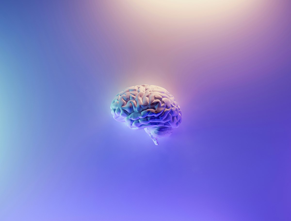 Milad Fakurian 58Z17lnvs4u Unsplash